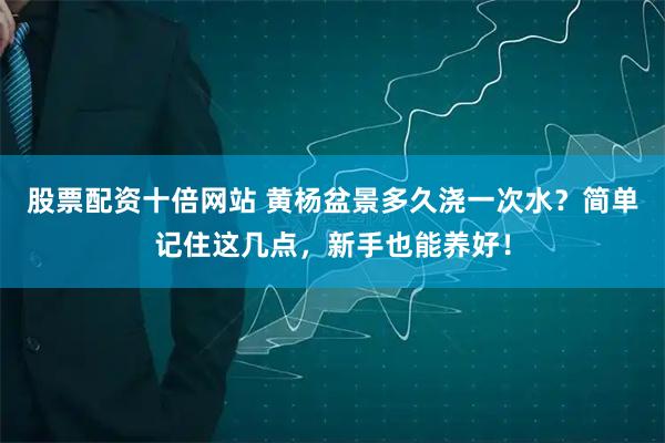 股票配资十倍网站 黄杨盆景多久浇一次水？简单记住这几点，新手也能养好！