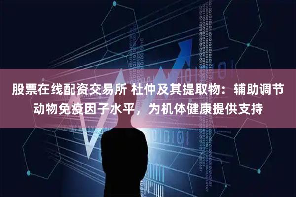 股票在线配资交易所 杜仲及其提取物：辅助调节动物免疫因子水平，为机体健康提供支持