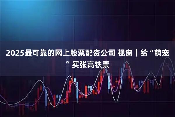 2025最可靠的网上股票配资公司 视窗｜给“萌宠”买张高铁票