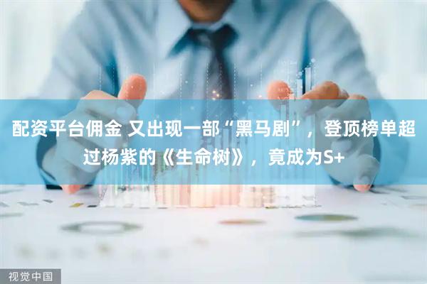 配资平台佣金 又出现一部“黑马剧”，登顶榜单超过杨紫的《生命树》，竟成为S+