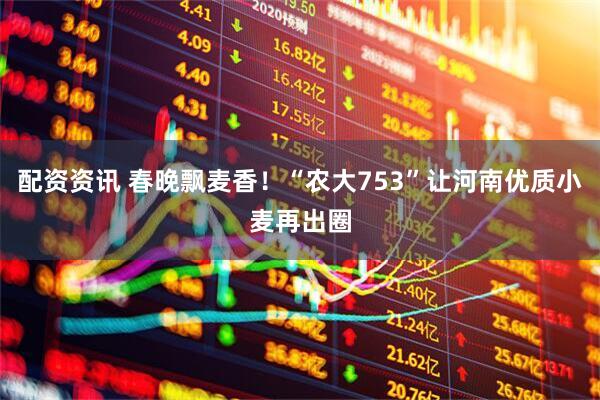 配资资讯 春晚飘麦香！“农大753”让河南优质小麦再出圈
