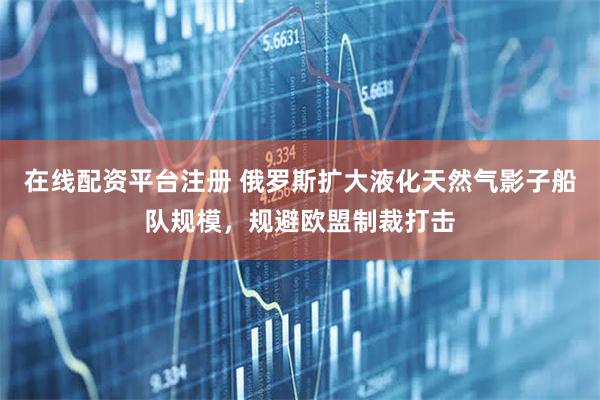 在线配资平台注册 俄罗斯扩大液化天然气影子船队规模，规避欧盟制裁打击