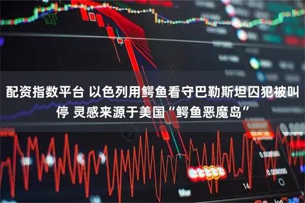 配资指数平台 以色列用鳄鱼看守巴勒斯坦囚犯被叫停 灵感来源于美国“鳄鱼恶魔岛”